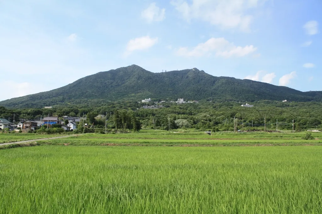 田んぼの向こうにそびえる筑波山